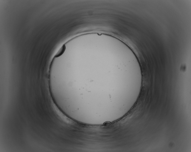 X0000101201532200807181523