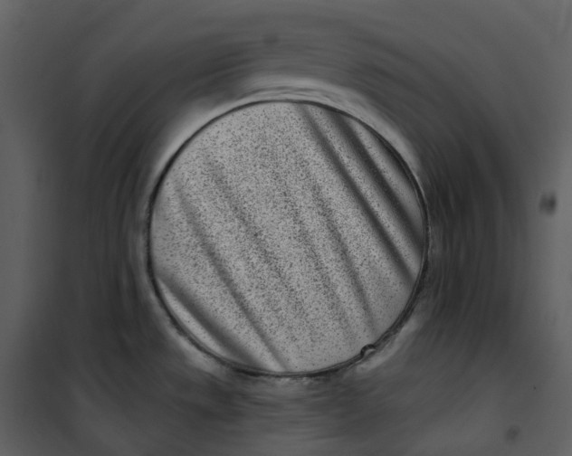 X0000101201533200807181523