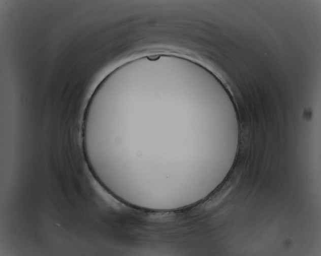 X0000101201535200807181523