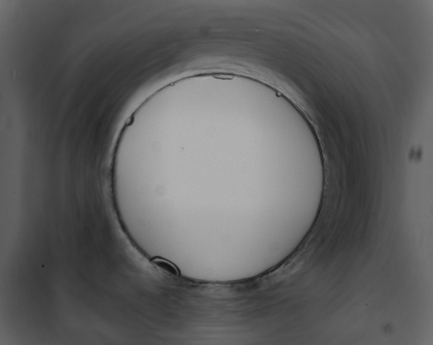 X0000101201536200807181523