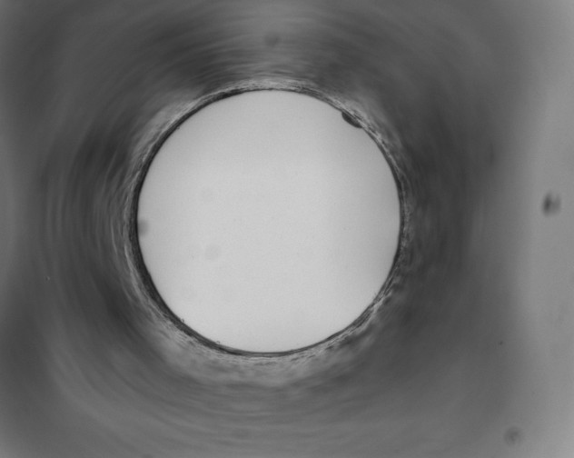 X0000101200001200807251037