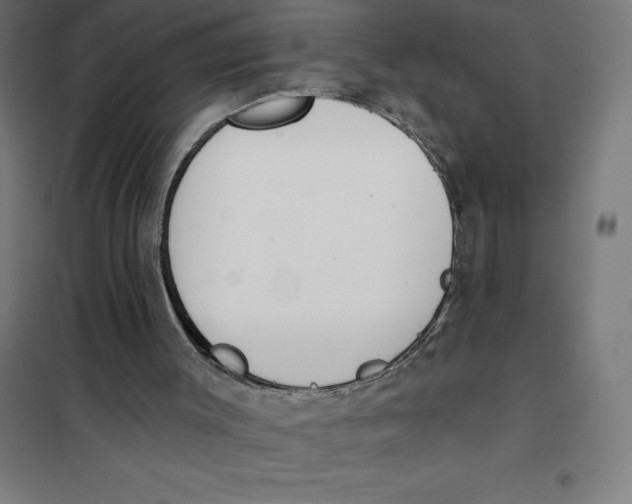 X0000101200003200807251037