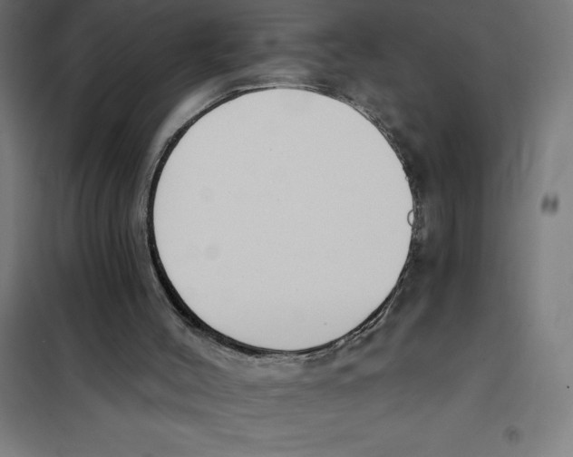 X0000101200004200807251036