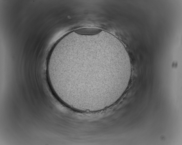 X0000101200005200807251036