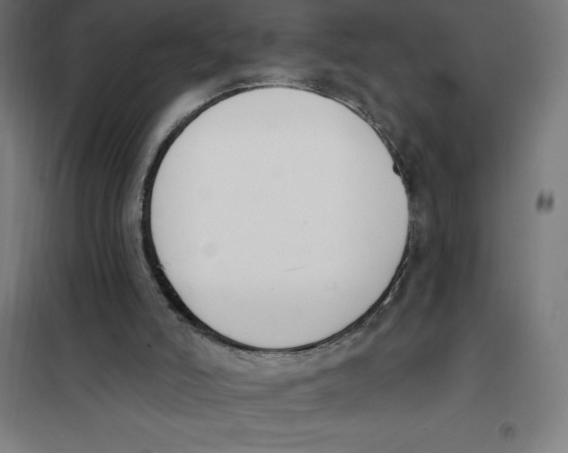 X0000101200006200807251036
