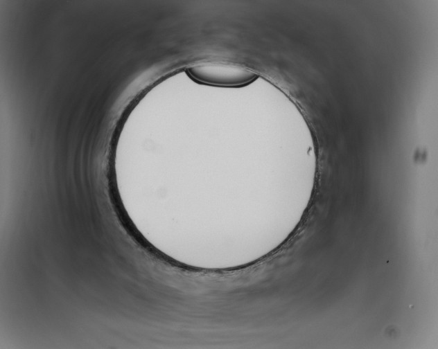 X0000101200007200807251036