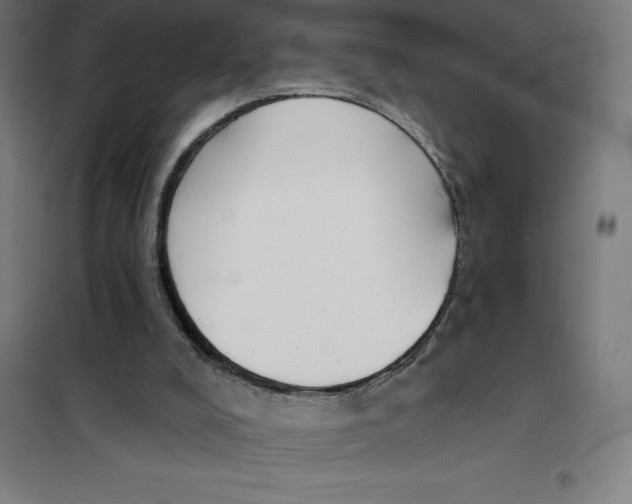 X0000101200008200807251036