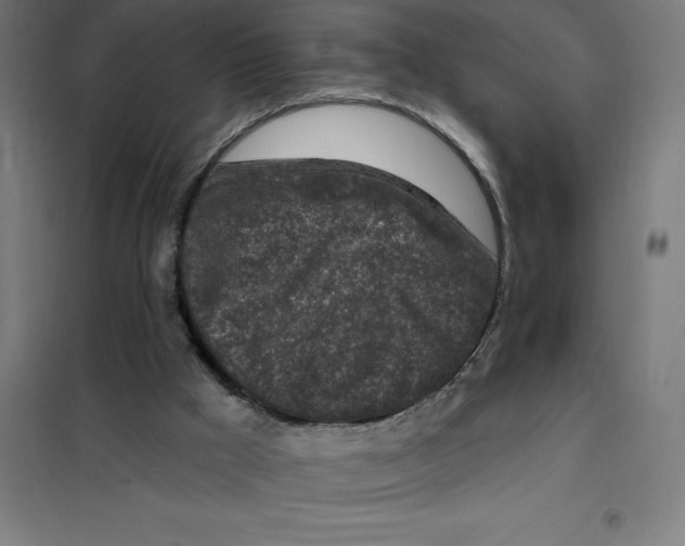 X0000101200009200807251036