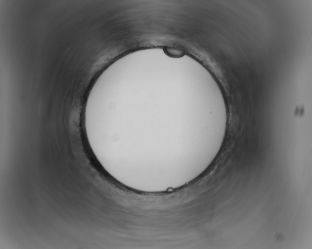 X0000101200010200807251036