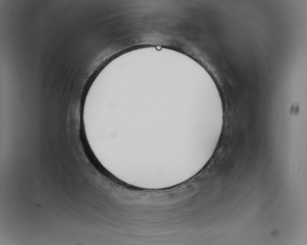 X0000101200011200807251036