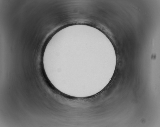 X0000101200012200807251036