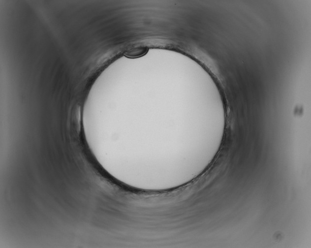 X0000101200013200807251036