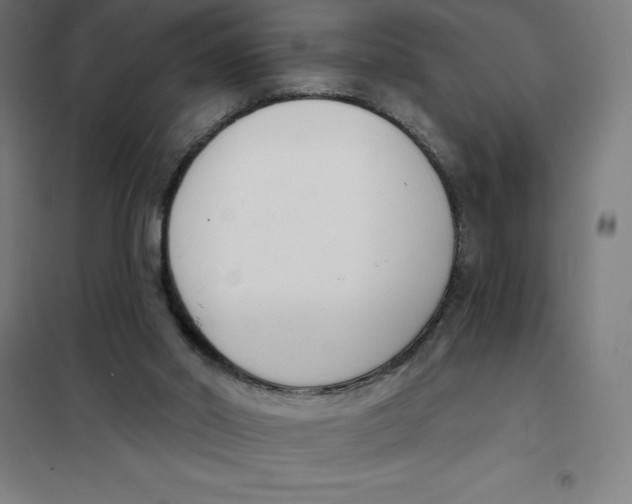 X0000101200014200807251036