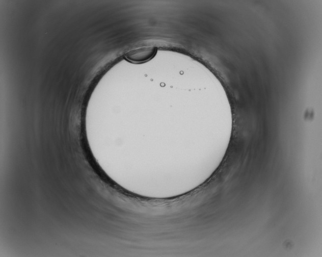 X0000101200015200807251036