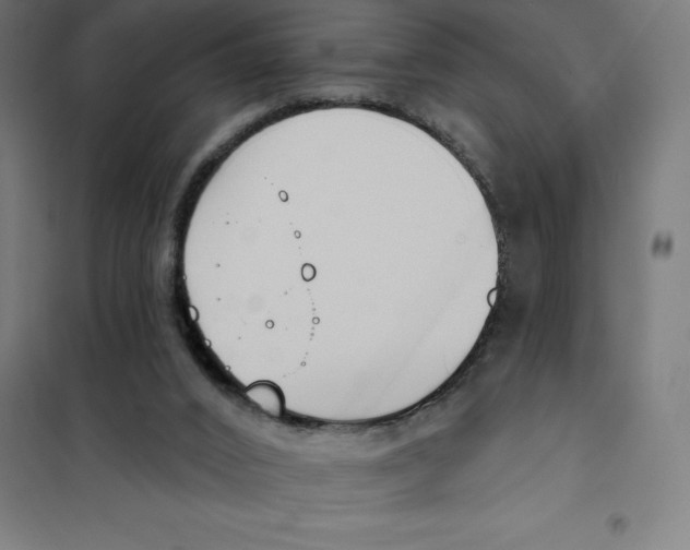 X0000101200016200807251036
