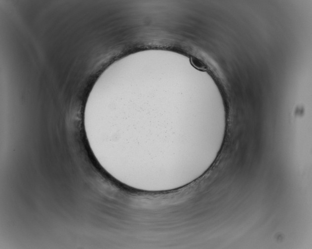X0000101200017200807251036