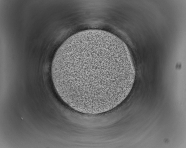 X0000101200018200807251036