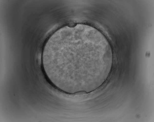 X0000101200019200807251036