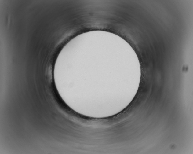 X0000101200020200807251036