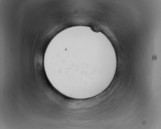 X0000101200021200807251036