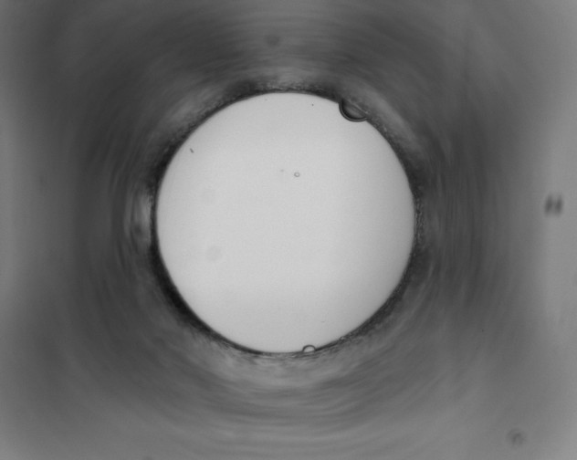 X0000101200022200807251036