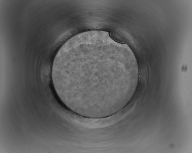 X0000101200023200807251036