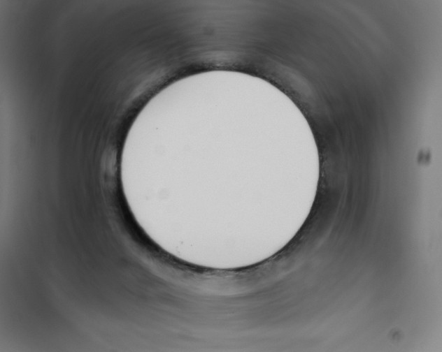 X0000101200024200807251036