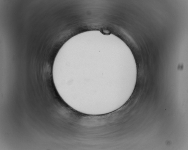 X0000101200025200807251036