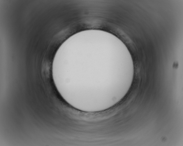 X0000101200026200807251036