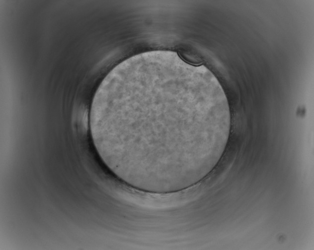 X0000101200027200807251036