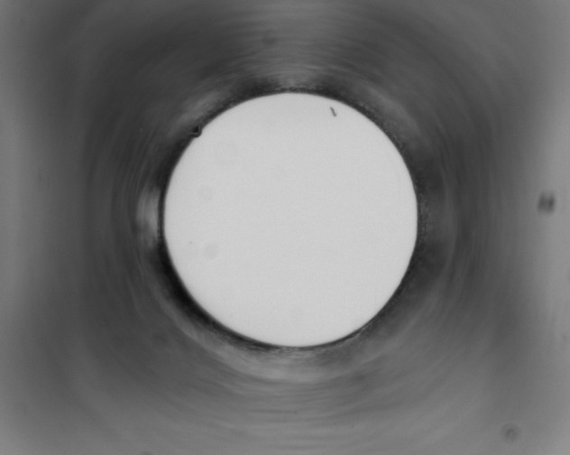 X0000101200028200807251036