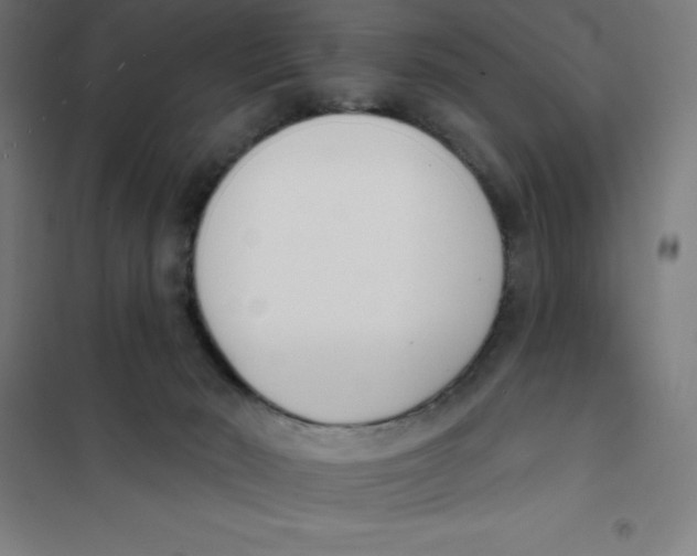 X0000101200030200807251036