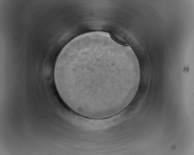 X0000101200031200807251036