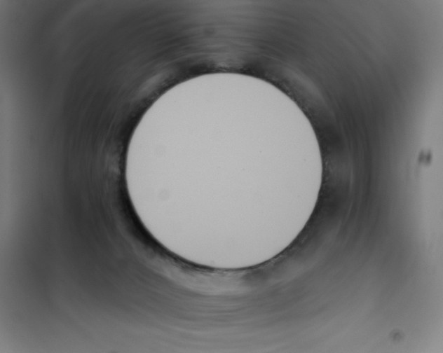 X0000101200032200807251036