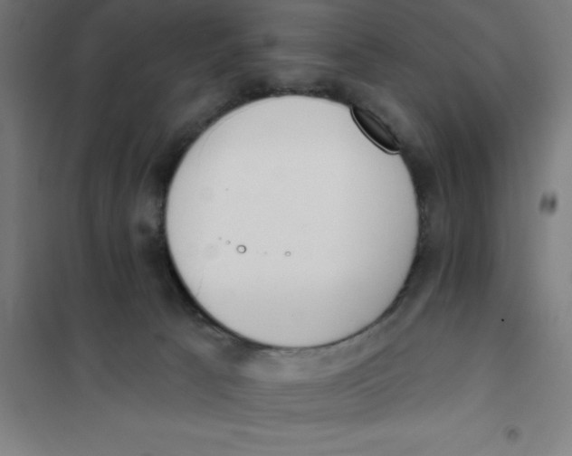 X0000101200033200807251036