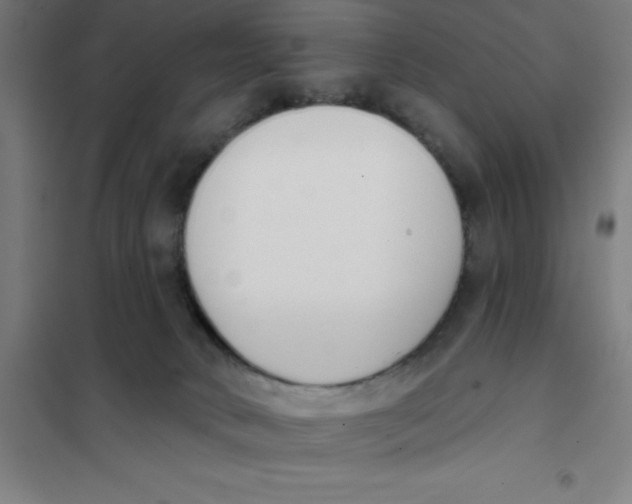 X0000101200034200807251036