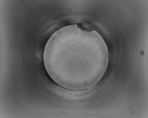 X0000101200035200807251036