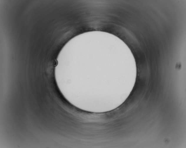 X0000101200036200807251036