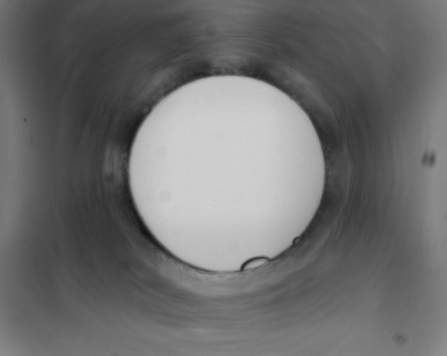 X0000101200038200807251036