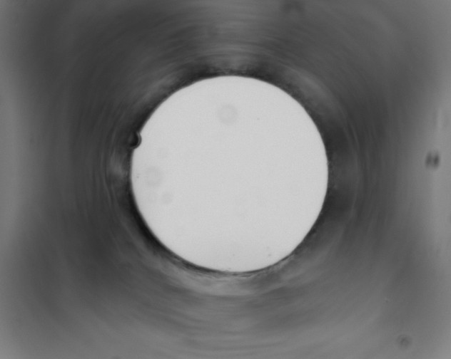 X0000101200040200807251036