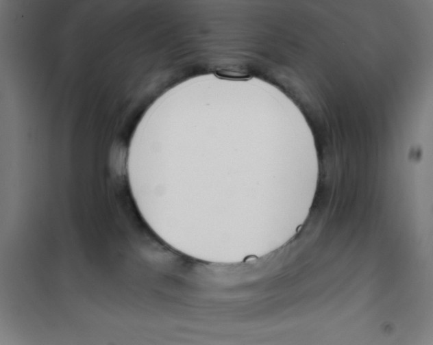 X0000101200041200807251036