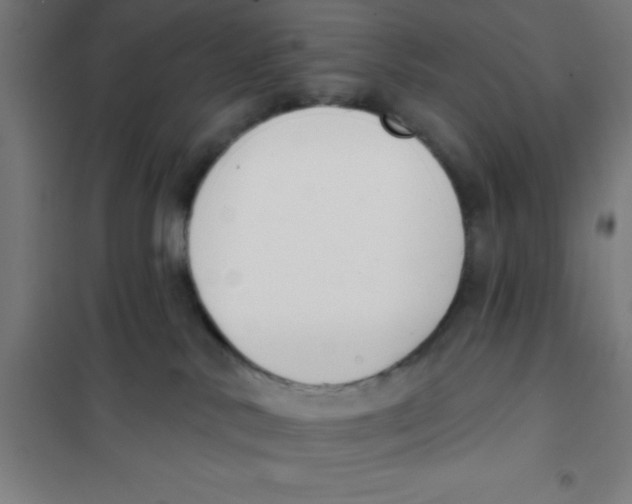 X0000101200042200807251036