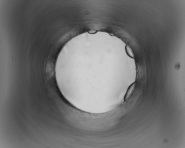 X0000101200043200807251036