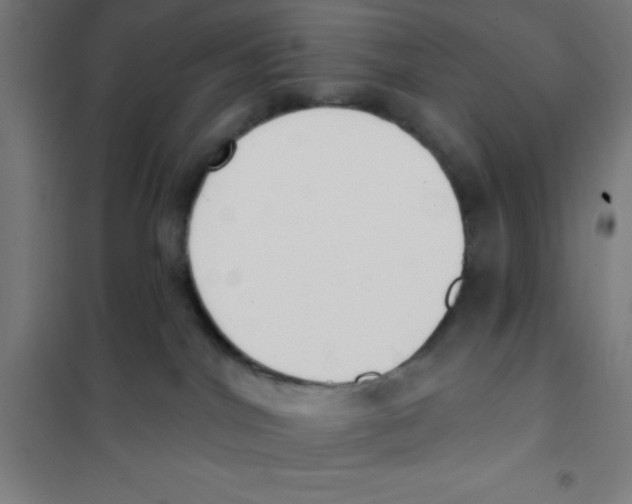 X0000101200044200807251036