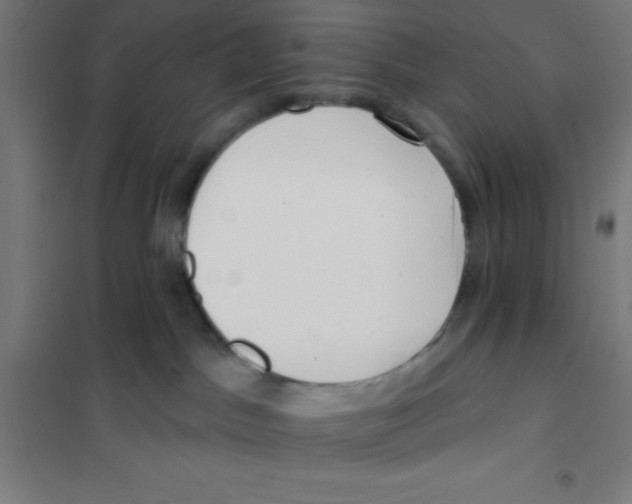 X0000101200045200807251036