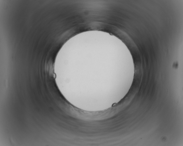 X0000101200046200807251036
