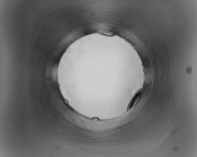 X0000101200047200807251036