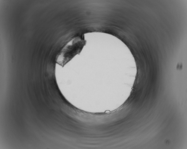 X0000101200048200807251036