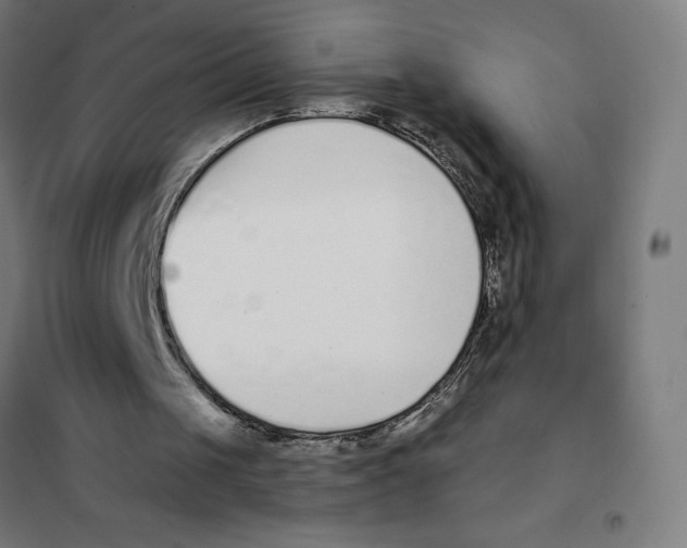 X0000101200049200807251035