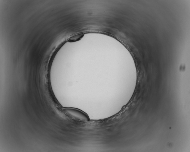 X0000101200050200807251035